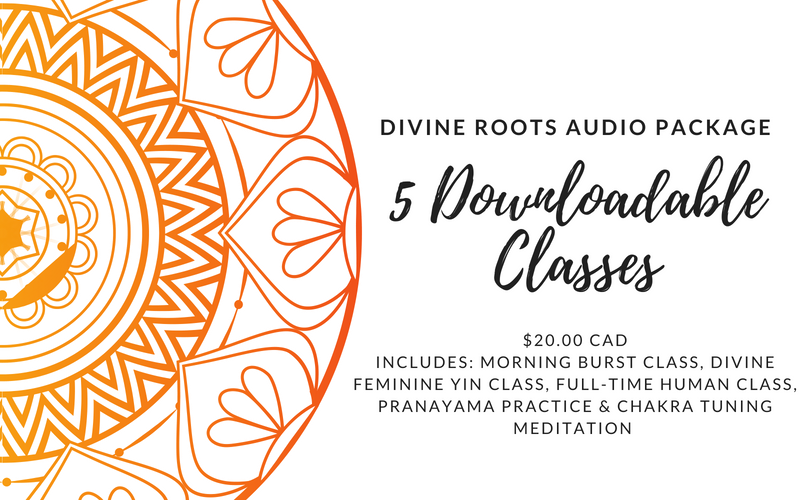 Divine Roots Audio Package